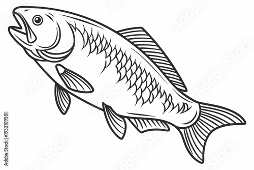 "Detailed Scale Pattern Fish: Artistic Carp Illustration for Coloring"