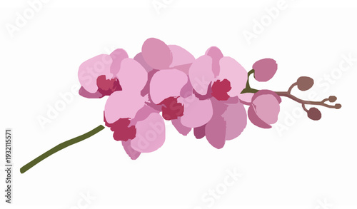 Realistic Pink Orchid Flower Branch Botanical Vector Illustration Isolated on White