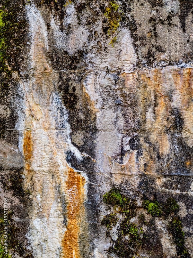 Fototapeta premium Feuchtigkeit und Schimmel an einer Brücke