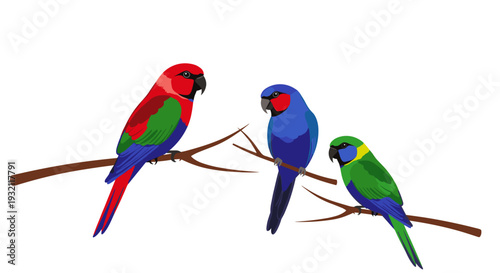 Three vibrantly colored parrots, including red, blue, and green species, are perched horizontally on a brown branch against a stark white background.