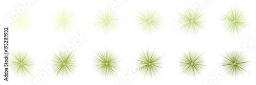 Green Starburst Light Effects for Eco Friendly Energy and Nature Graphics