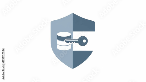 Shield with Disk and Key Icon.