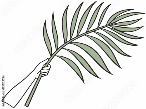 A single palm frond extending diagonally across a plain background