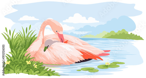 Flamingo mom holds her chick covered by feathers