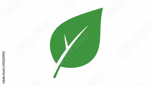 Green leaf with white streaks.