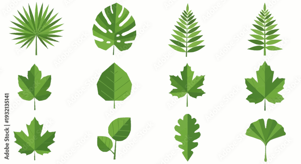 Obraz premium Collection of various green leaves and foliage illustrations displayed together on a clean background from a direct viewpoint
