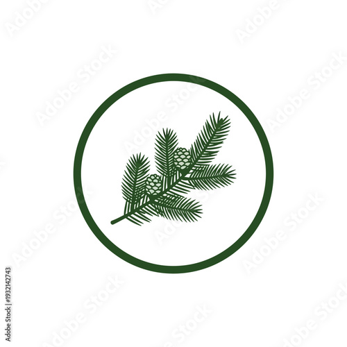 Clean vector illustration of a detailed evergreen pine tree branch with two small cones and needles, neatly enclosed in a vibrant green circle, symbolizing nature, forest, and winter