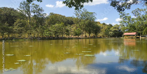 reflection of trees in the lake