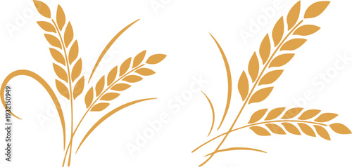 Elegant Wheat Spray Harvest Illustration
