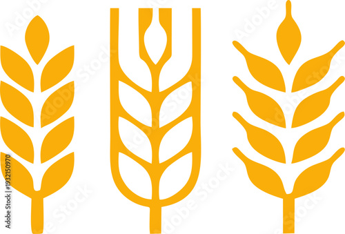 Golden Wheat Grain Stalk Collection
