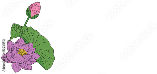 Pink lotus flower vector design for Vesak Day