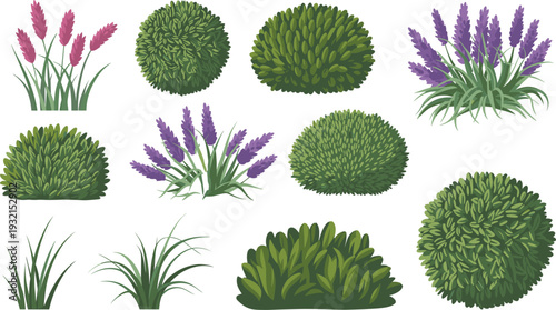 Lavender flowers and ornamental shrubs vector illustration, decorative garden plants isolated botanical landscape design set