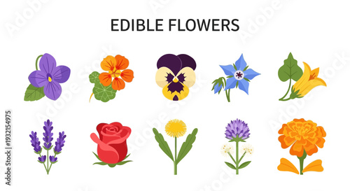 Ten illustrations of various edible flowers arranged in two rows