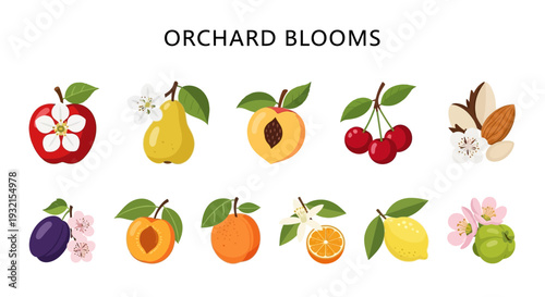 Ten pairs of orchard fruits with corresponding blooms arranged in two horizontal rows