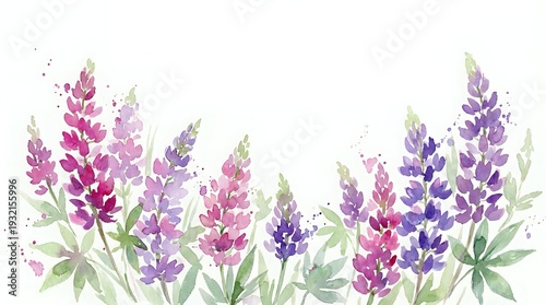 Watercolor lupine flowers in pink and purple hues with green leaves, botanical floral arrangement for spring garden designs and nature decorations.