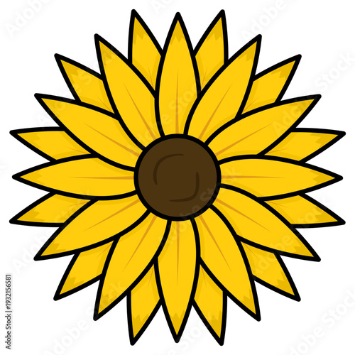 sunflower vector illustration