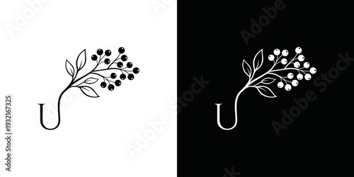 simple vector logo of initial U and leaf