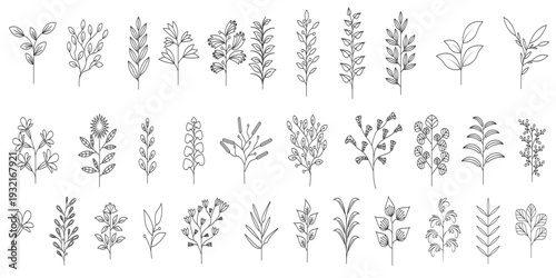 Set of autumn leaves. Foliage of different kinds of trees. Colorless seasonal dry flora. Vector illustration