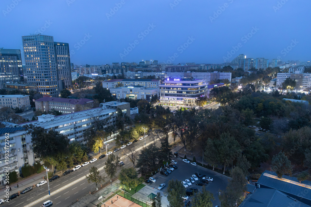 Obraz premium タシケント市内の夜景