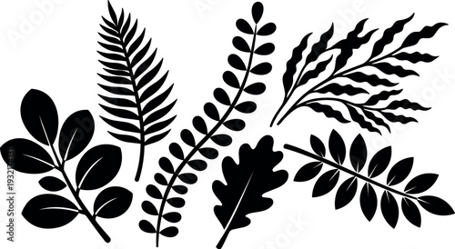 Flat silhouette vector foliage close up composition with varied leaf shapes isolated on white background high contrast minimalist decorative
