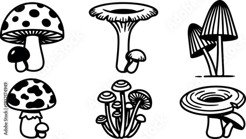 Line art detailed close up cluster of wild mushrooms various caps stems botanical study isolated on white high contrast monochrome