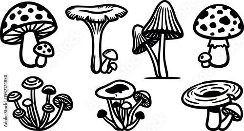 Line art hand drawn mushroom sketches set showing varied caps stems gills clusters single specimens top view botanical illustration black