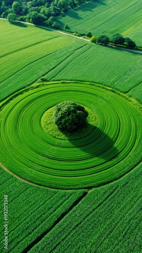 Exploring Green Finance Investments for a Sustainable Low-Carbon Future with Renewables and Eco-Infrastructure