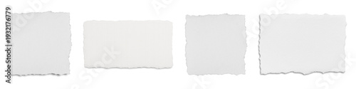 a realistic photograph capturing four blank white torn paper pieces with unique rough, textured edges on a transparent background.