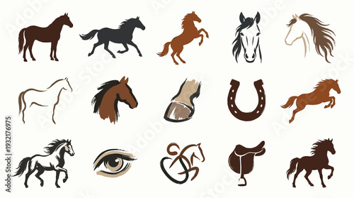 A collection of diverse horse illustrations, including full body depictions, heads, and equestrian equipment like saddles and horseshoes.