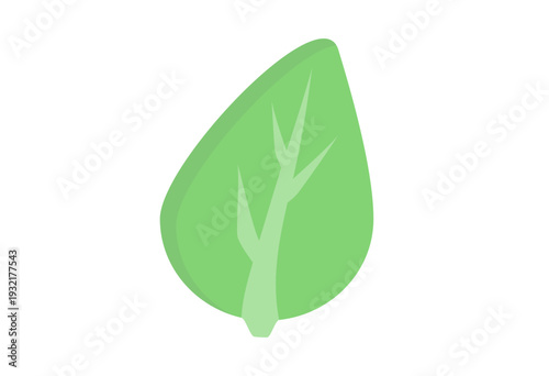 Generic leafy vegetable icon for lettuce, cabbage, salad, cooking, grocery, farm harvest, healthy eating, nutrition content, menu design, and fresh produce visuals