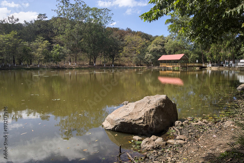 lake in the woods