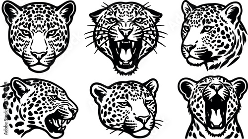 Tattoo flash six big cat head set showing leopard jaguar and cheetah expressions front profile roar close up bold outline