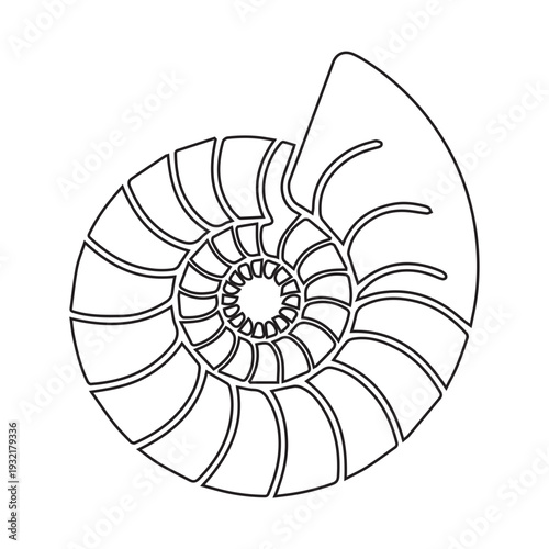 Nautilus Shell Outline