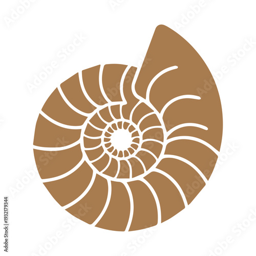 Nautilus Spiral Design