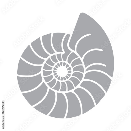 Nautilus Shell Spiral