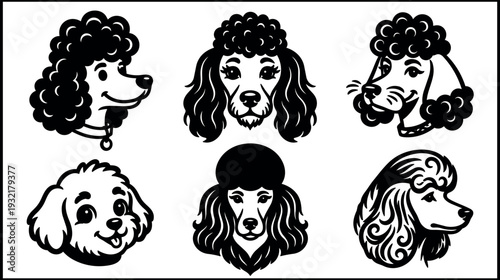 Tattoo flash vintage poodle head set six close up vector dog portraits black and white line art illustrations