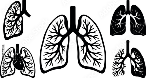 Flat design frontal lung silhouettes with branching bronchi multiple variations isolated medical icons black vector illustration anatomical detailed bold schematic