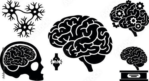 Flat design anatomical brain icons central brain side view skull profile neurons spinal cord on white background medical study diagram