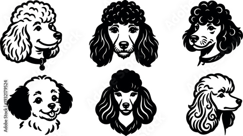 Line art poodle head set six black and white vector icons front and three quarter views close up studio portrait