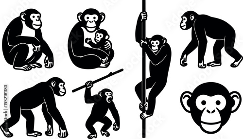 Flat design black monkey silhouette set showing various poses climbing holding baby swinging on pole and face closeup profile front