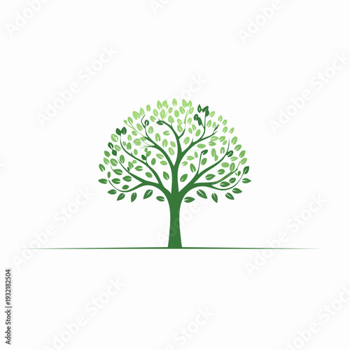Green deciduous tree with leaves and branches, signifying growth and nature