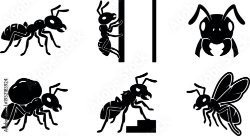 Minimalist flat vector ant silhouettes set six poses close up side view top view climbing winged ant head closeup black