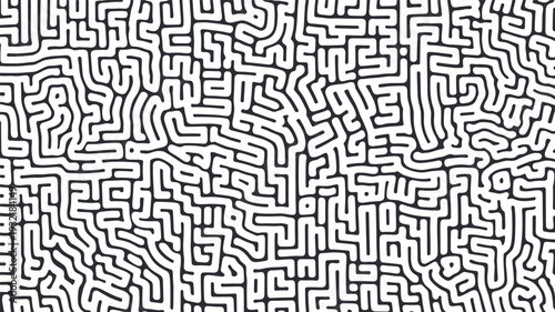 Abstract maze-like black and white pattern with interconnected irregular lines, complex decorative texture resembling neural pathways, artistic geometric l