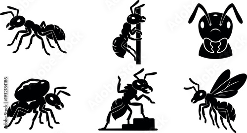 Flat design ant icon set six black ant silhouettes various poses side view close up climbing carrying leaf walking portrait
