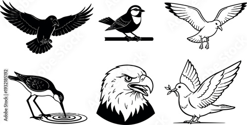 Line art set of six bird silhouettes including bald eagle dove pigeon stork shorebird in various flying and perching poses
