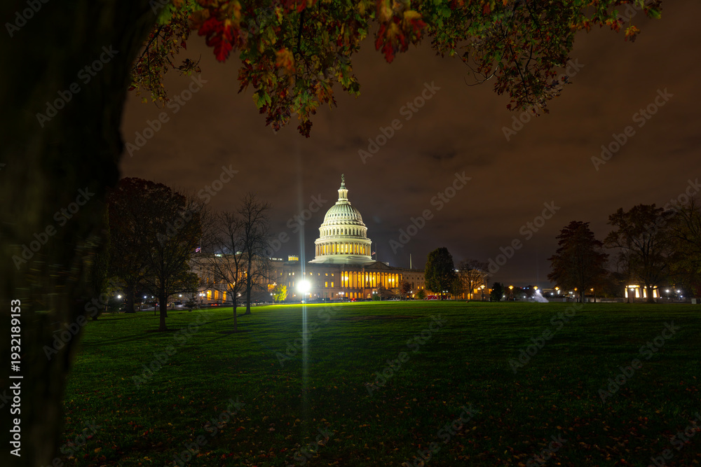 Obraz premium The Senate. Washington DC in night. Capitol Building. Washington city Capitol. US Capital. US capitol city. Washington D.C. Night Washington city.