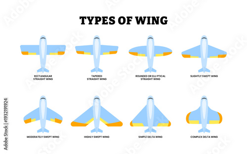 Different types of airplane wing and position types. Types of aircraft. Labeled delta, swept, straight. Chord variations along span. Educational vector illustration.