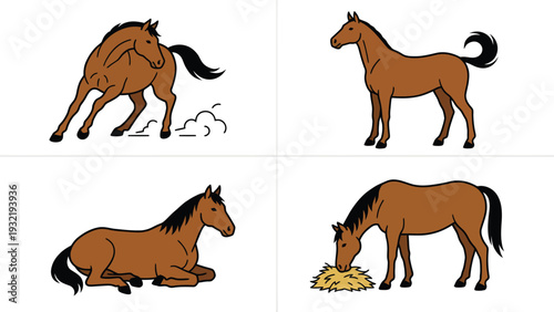Brown Horse Poses & Actions Illustration Set: Rearing, Standing, Resting, Feeding