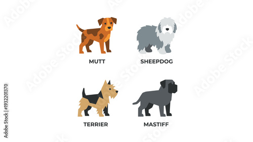 Diverse Dog Breeds Flat Illustration Set: Mutt, Sheepdog, Terrier, Mastiff Characters
