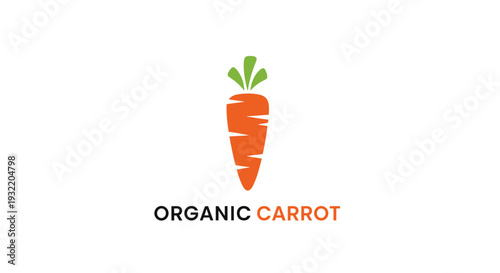 Orange Carrot Logo Design Element.